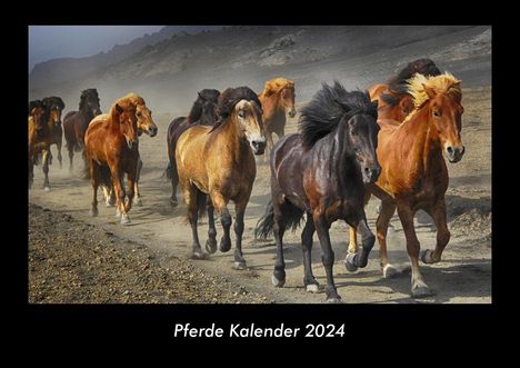 Tobias Becker: Pferde Kalender 2024 Fotokalender DIN A3, Kalender