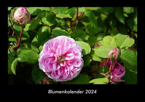 Tobias Becker: Blumenkalender 2024 Fotokalender DIN A3, Kalender