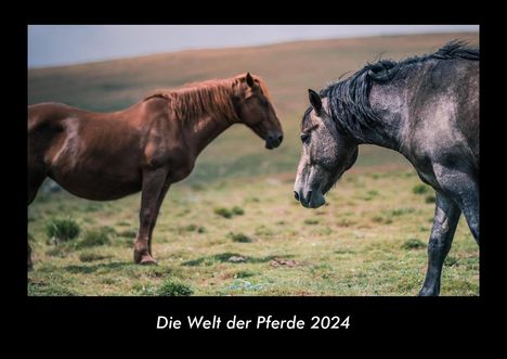 Tobias Becker: Die Welt der Pferde 2024 Fotokalender DIN A3, Kalender