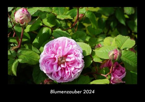 Tobias Becker: Blumenzauber 2024 Fotokalender DIN A3, Kalender