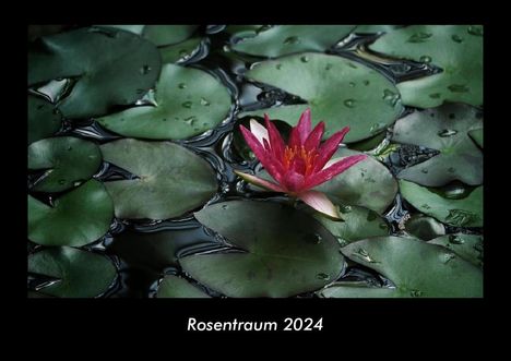 Tobias Becker: Rosentraum 2024 Fotokalender DIN A3, Kalender