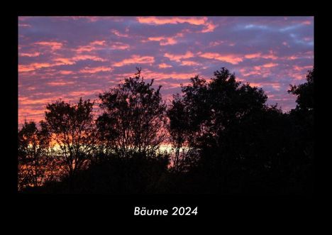 Tobias Becker: Bäume 2024 Fotokalender DIN A3, Kalender