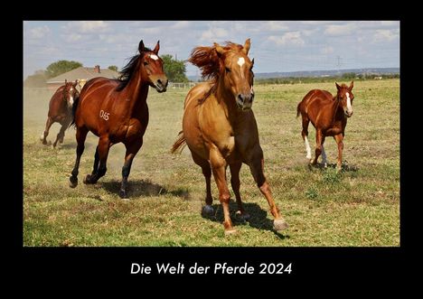 Tobias Becker: Die Welt der Pferde 2024 Fotokalender DIN A3, Kalender