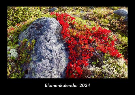 Tobias Becker: Blumenkalender 2024 Fotokalender DIN A3, Kalender