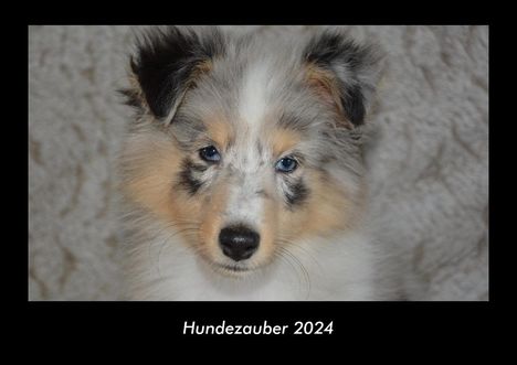 Tobias Becker: Hundezauber 2024 Fotokalender DIN A3, Kalender