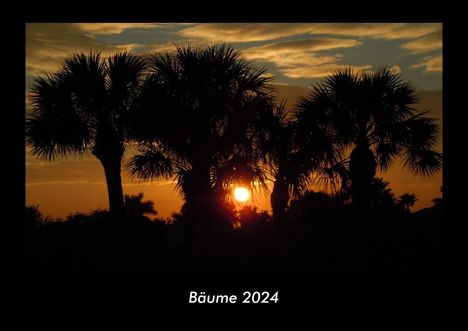 Tobias Becker: Bäume 2024 Fotokalender DIN A3, Kalender