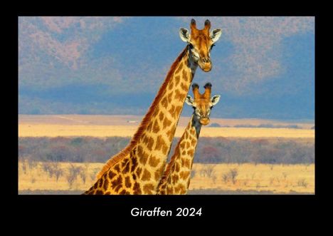 Tobias Becker: Giraffen 2024 Fotokalender DIN A3, Kalender