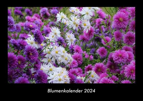 Tobias Becker: Blumenkalender 2024 Fotokalender DIN A3, Kalender