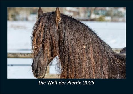 Tobias Becker: Die Welt der Pferde 2025 Fotokalender DIN A5, Kalender