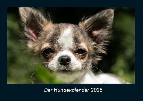 Tobias Becker: Der Hundekalender 2025 Fotokalender DIN A4, Kalender