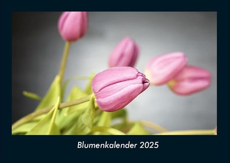 Tobias Becker: Blumenkalender 2025 Fotokalender DIN A4, Kalender