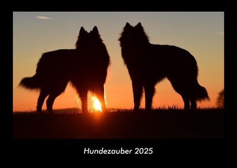 Tobias Becker: Hundezauber 2025 Fotokalender DIN A3, Kalender