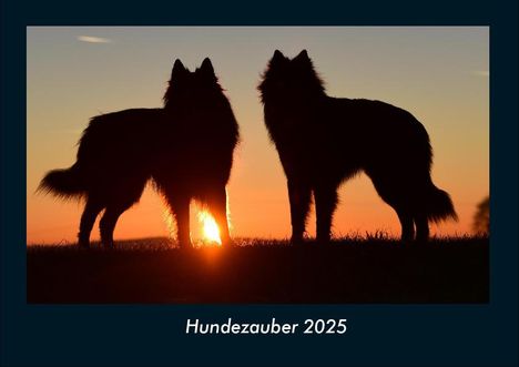 Tobias Becker: Hundezauber 2025 Fotokalender DIN A4, Kalender