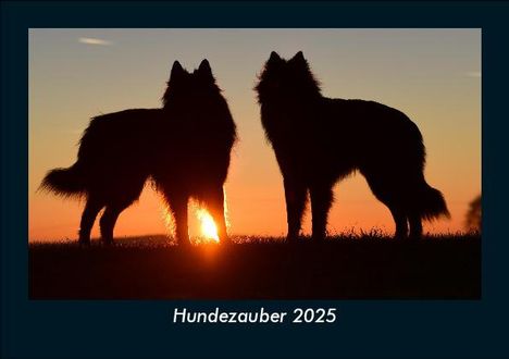 Tobias Becker: Hundezauber 2025 Fotokalender DIN A5, Kalender