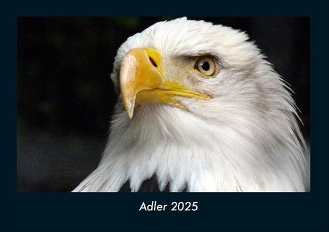 Tobias Becker: Adler 2025 Fotokalender DIN A4, Kalender