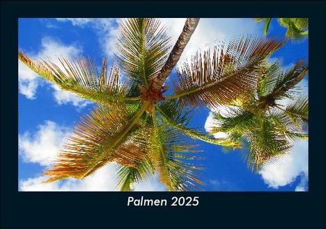 Tobias Becker: Palmen 2025 Fotokalender DIN A5, Kalender