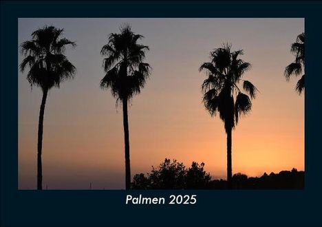 Tobias Becker: Palmen 2025 Fotokalender DIN A5, Kalender