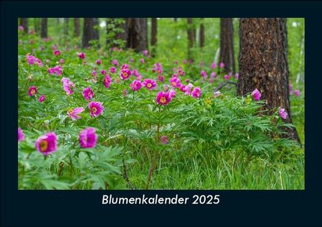 Tobias Becker: Blumenkalender 2025 Fotokalender DIN A5, Kalender