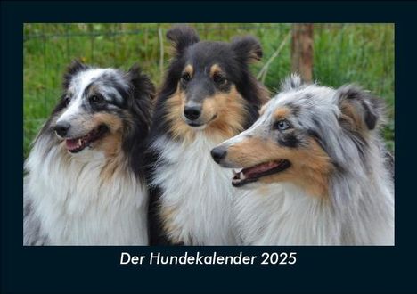 Tobias Becker: Der Hundekalender 2025 Fotokalender DIN A5, Kalender