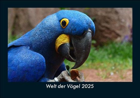 Tobias Becker: Welt der Vögel 2025 Fotokalender DIN A5, Kalender