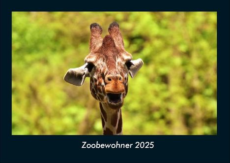 Tobias Becker: Zoobewohner 2025 Fotokalender DIN A4, Kalender