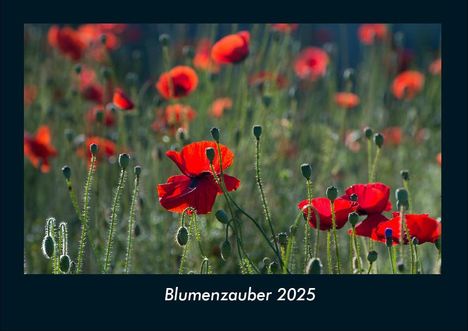 Tobias Becker: Blumenzauber 2025 Fotokalender DIN A4, Kalender