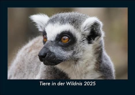 Tobias Becker: Tiere in der Wildnis 2025 Fotokalender DIN A5, Kalender