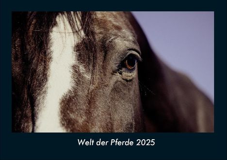 Tobias Becker: Welt der Pferde 2025 Fotokalender DIN A4, Kalender