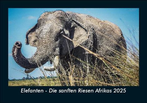 Tobias Becker: Elefanten - Die sanften Riesen Afrikas 2025 Fotokalender DIN A5, Kalender