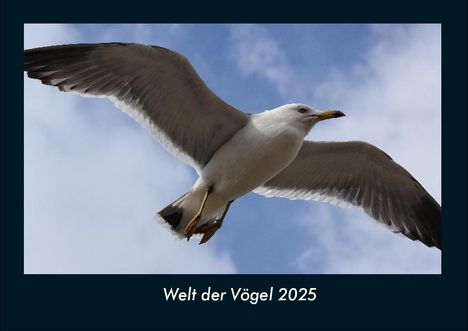 Tobias Becker: Welt der Vögel 2025 Fotokalender DIN A4, Kalender