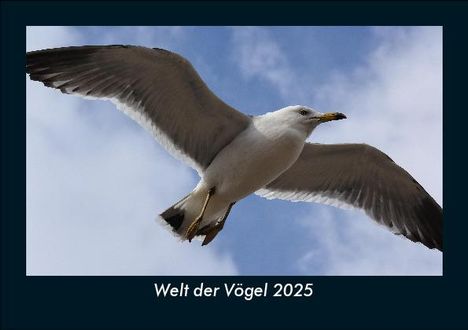 Tobias Becker: Welt der Vögel 2025 Fotokalender DIN A5, Kalender