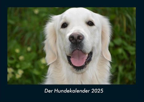 Tobias Becker: Der Hundekalender 2025 Fotokalender DIN A4, Kalender