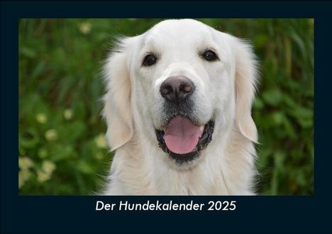 Tobias Becker: Der Hundekalender 2025 Fotokalender DIN A5, Kalender