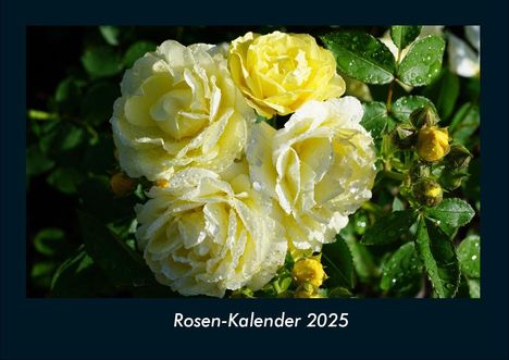 Tobias Becker: Rosen-Kalender 2025 Fotokalender DIN A4, Kalender