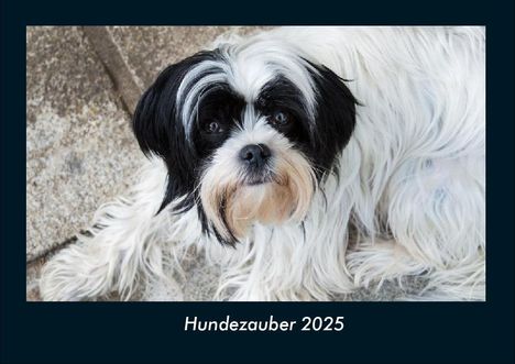 Tobias Becker: Hundezauber 2025 Fotokalender DIN A4, Kalender