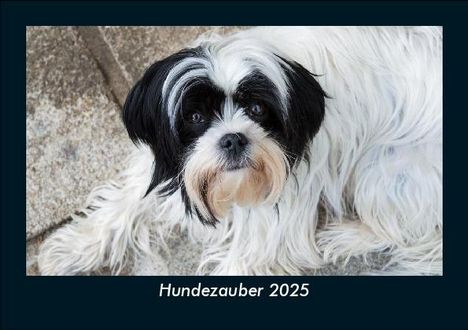 Tobias Becker: Hundezauber 2025 Fotokalender DIN A5, Kalender