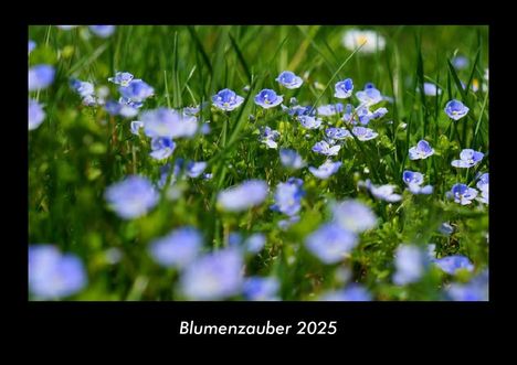 Tobias Becker: Blumenzauber 2025 Fotokalender DIN A3, Kalender