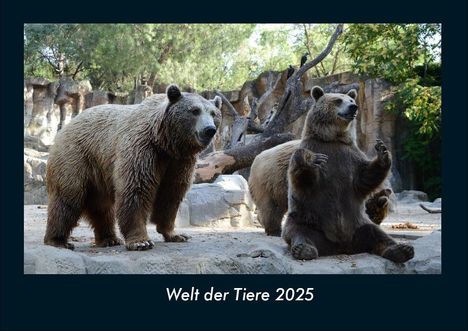 Tobias Becker: Welt der Tiere 2025 Fotokalender DIN A4, Kalender