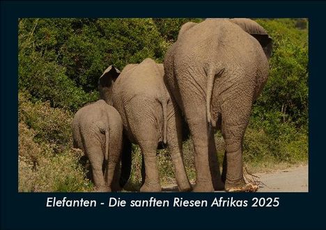 Tobias Becker: Elefanten - Die sanften Riesen Afrikas 2025 Fotokalender DIN A5, Kalender