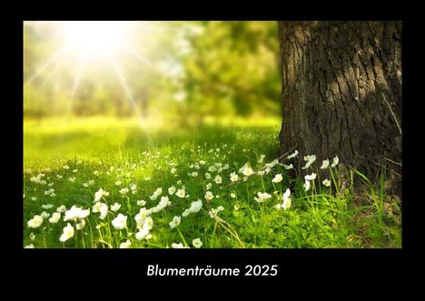 Tobias Becker: Blumenträume 2025 Fotokalender DIN A3, Kalender