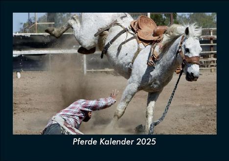 Tobias Becker: Pferde Kalender 2025 Fotokalender DIN A5, Kalender