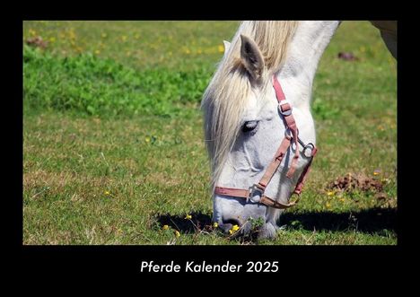 Tobias Becker: Pferde Kalender 2025 Fotokalender DIN A3, Kalender