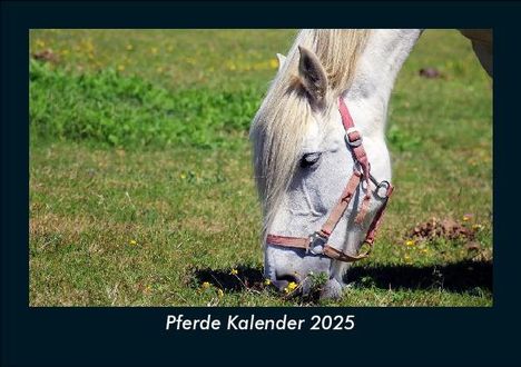 Tobias Becker: Pferde Kalender 2025 Fotokalender DIN A5, Kalender