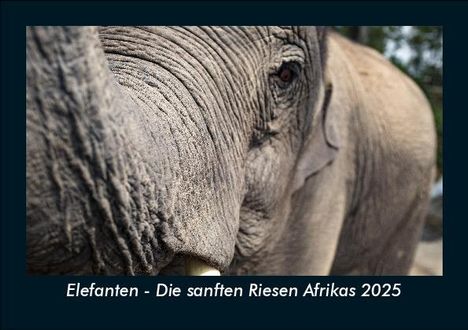 Tobias Becker: Elefanten - Die sanften Riesen Afrikas 2025 Fotokalender DIN A5, Kalender