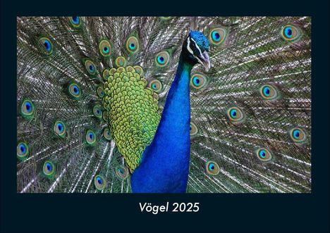 Tobias Becker: Vögel 2025 Fotokalender DIN A4, Kalender