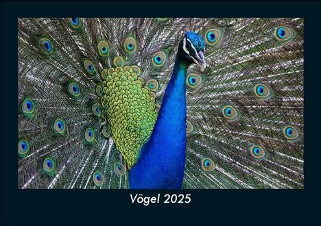 Tobias Becker: Vögel 2025 Fotokalender DIN A5, Kalender