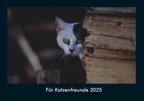 Tobias Becker: Für Katzenfreunde 2025 Fotokalender DIN A4, Kalender