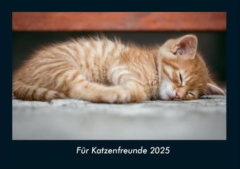 Tobias Becker: Für Katzenfreunde 2025 Fotokalender DIN A4, Kalender