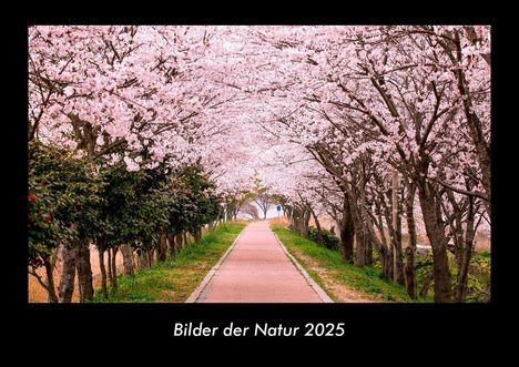 Tobias Becker: Bilder der Natur 2025 Fotokalender DIN A3, Kalender