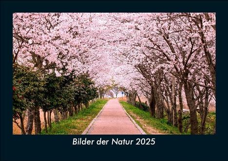 Tobias Becker: Bilder der Natur 2025 Fotokalender DIN A5, Kalender